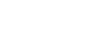 Logo del partner