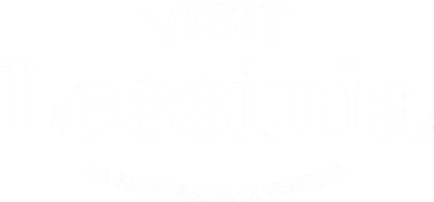 Logo del partner