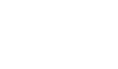 Logo del partner