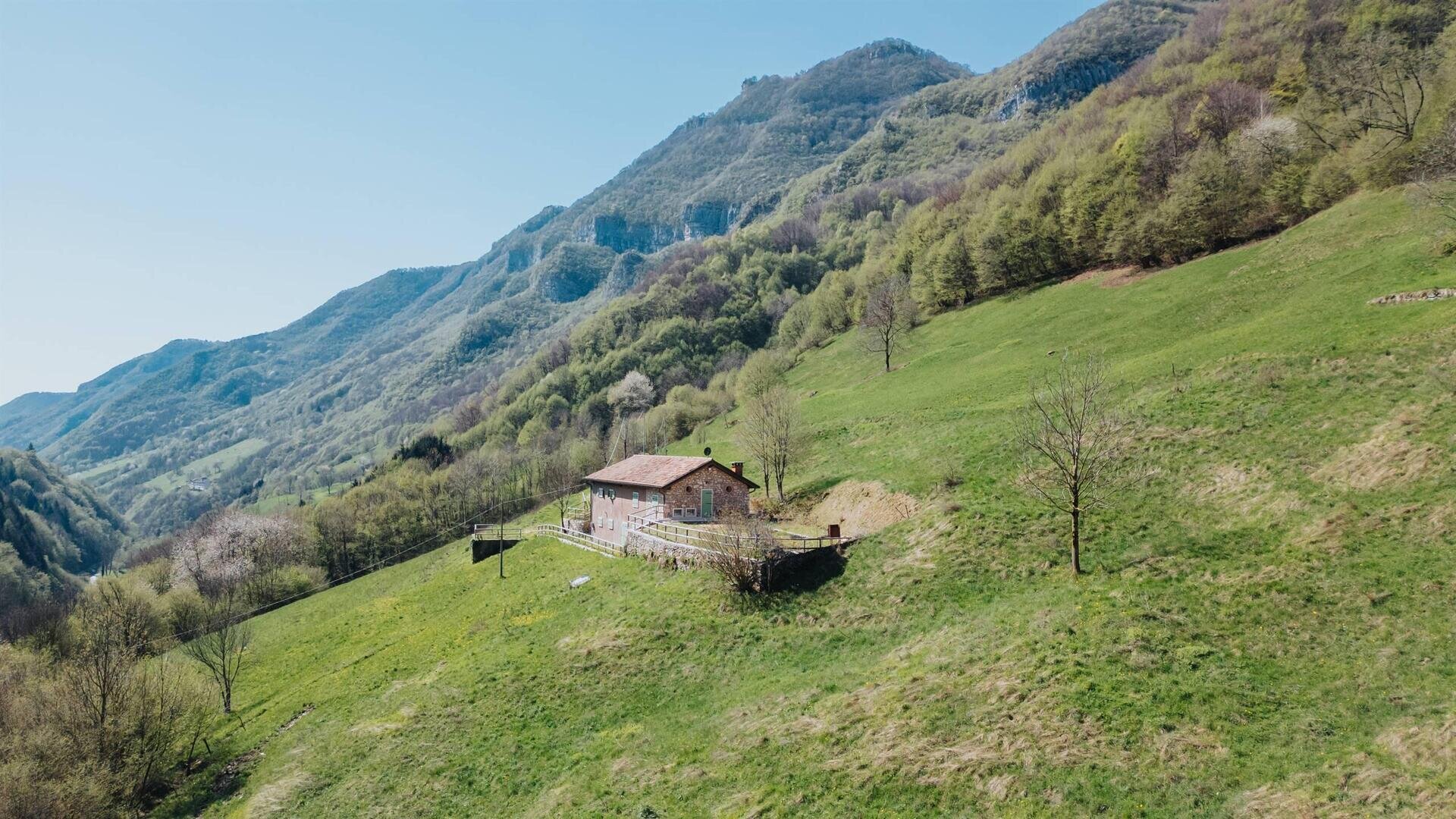 AGRITURISMO ANGELINO