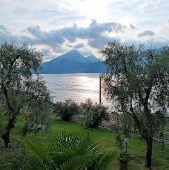 AGRITURISMO ULIVETA