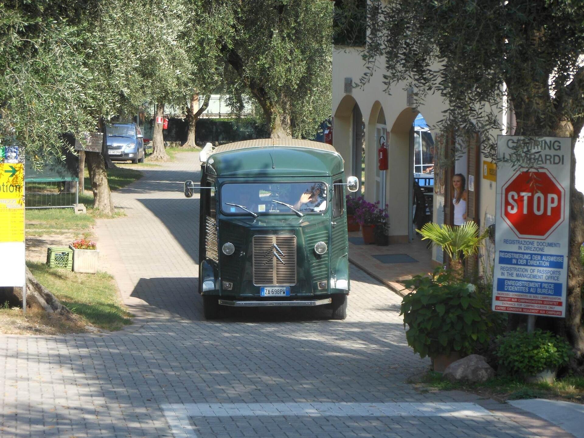 Images Trn 1 98e72fe5 6d11 4d00 81b3 70d151ec4dad 99 Image