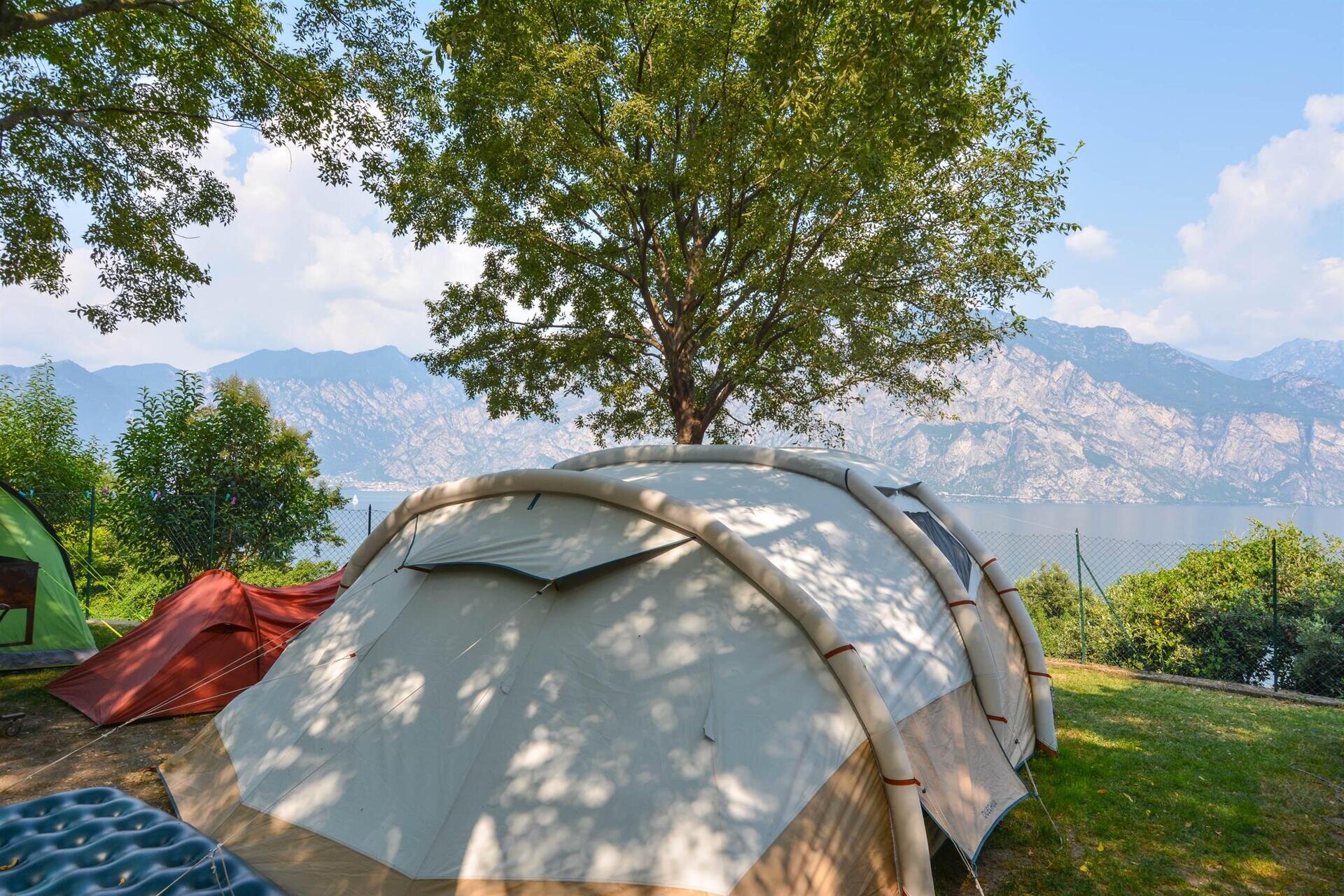 Images Trn 1 0dc14a68 Aced 4342 B9aa A3f896fd6931 99 Image