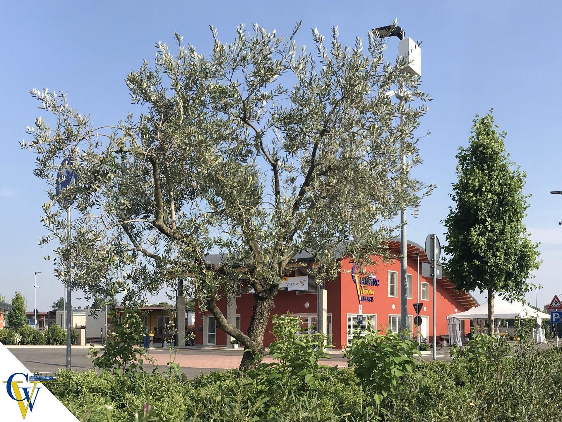 CAMPING VERONA VILLAGE