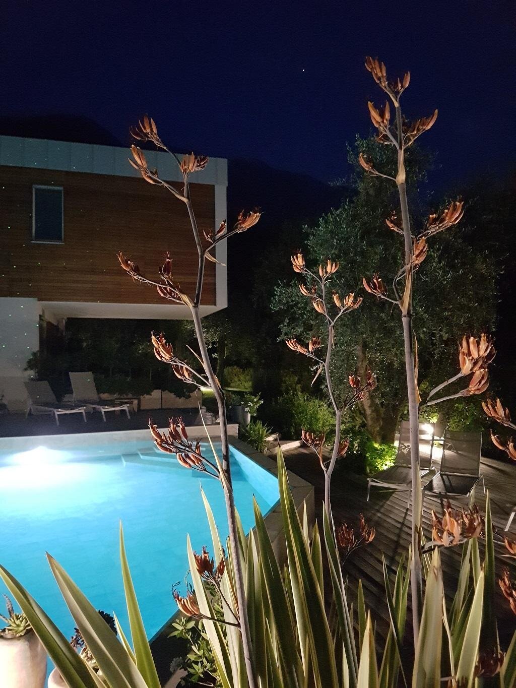 CASA BANA - CALLA