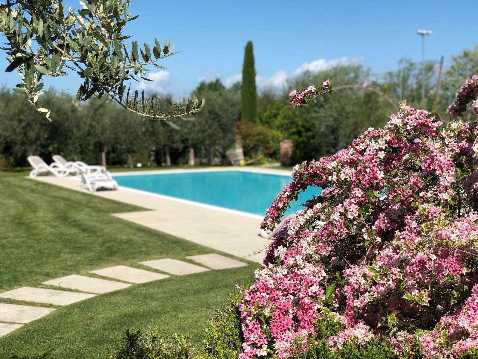 Images Trn 1 07bfe4e3 D259 4ed7 B1eb F514d7694c94 99 Image