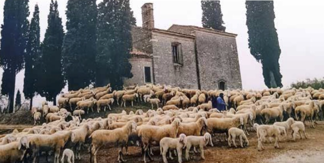 Ancient Fair of Cavalcaselle