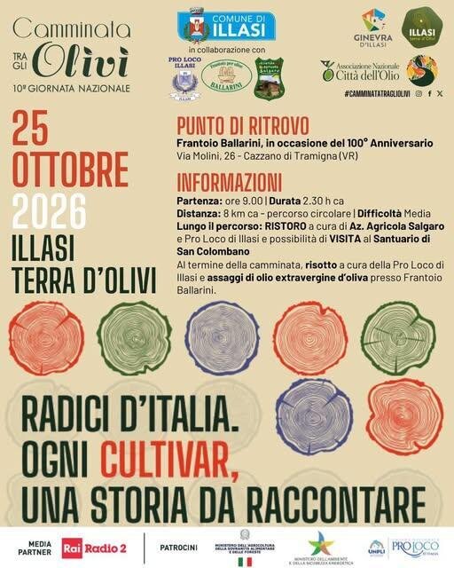 Camminata tra gli olivi