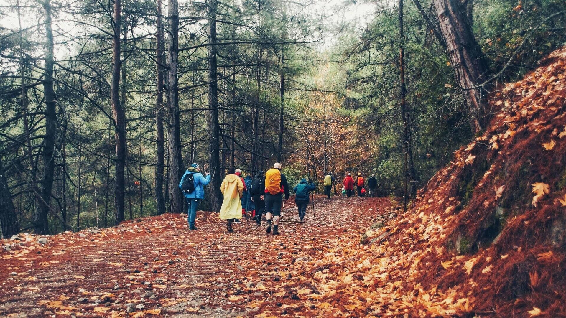 Corrispondenze - piccole meditazioni in cammino tra botanica e poesia