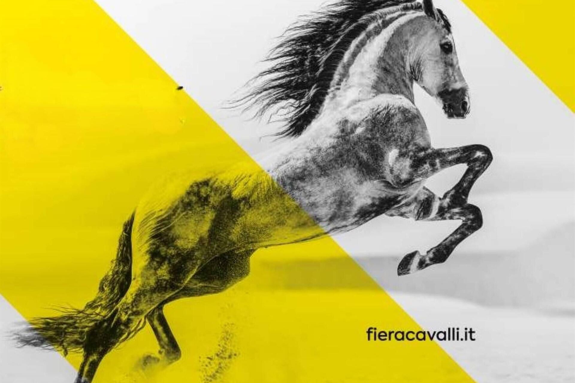 Fieracavalli