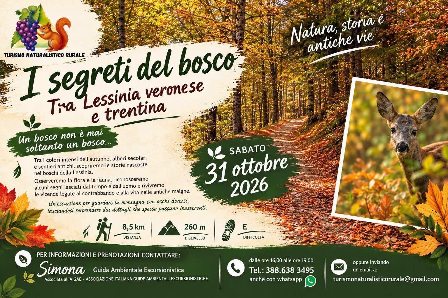 I segreti del bosco