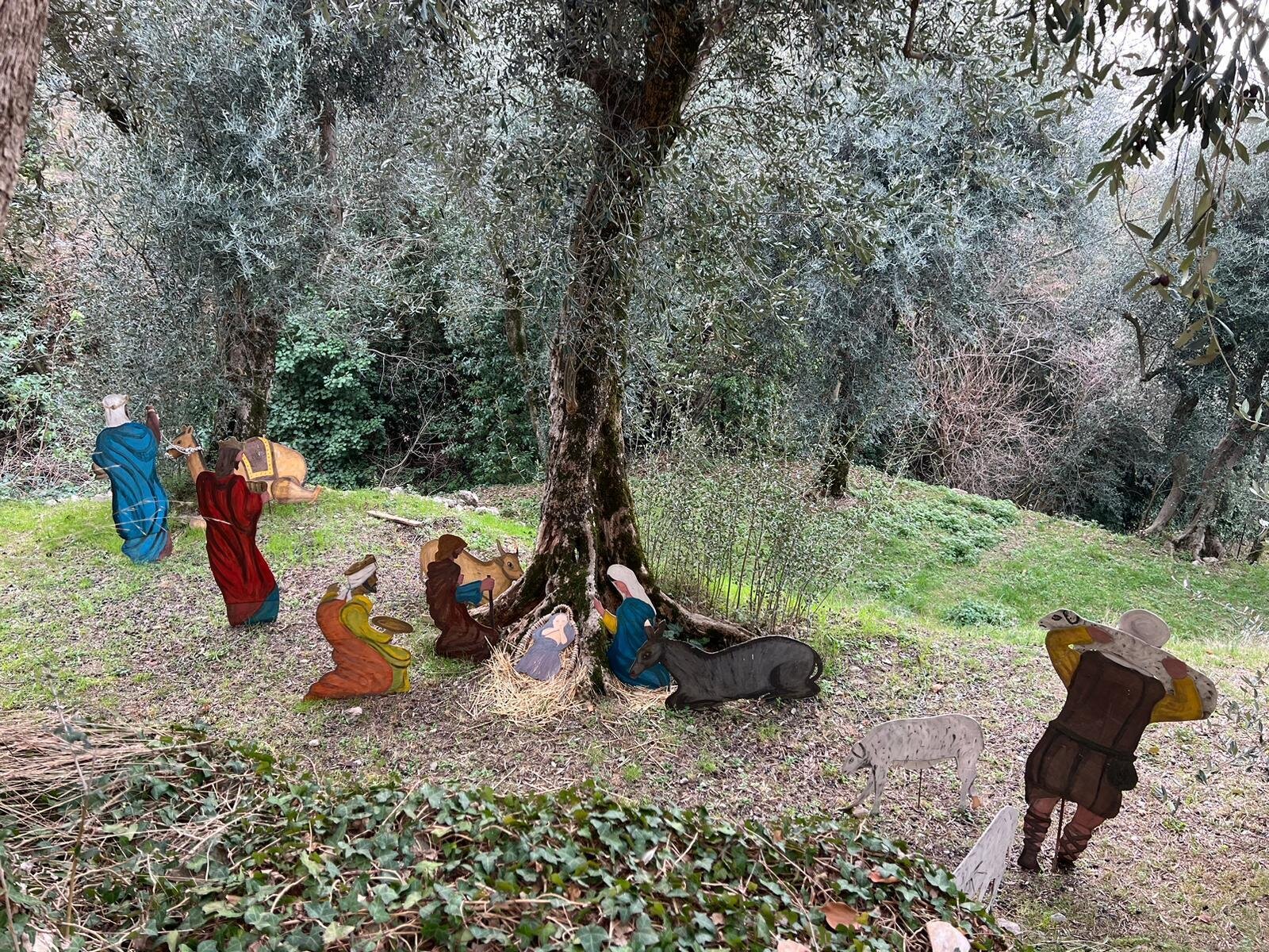 Inaugurazione Presepi a Campo