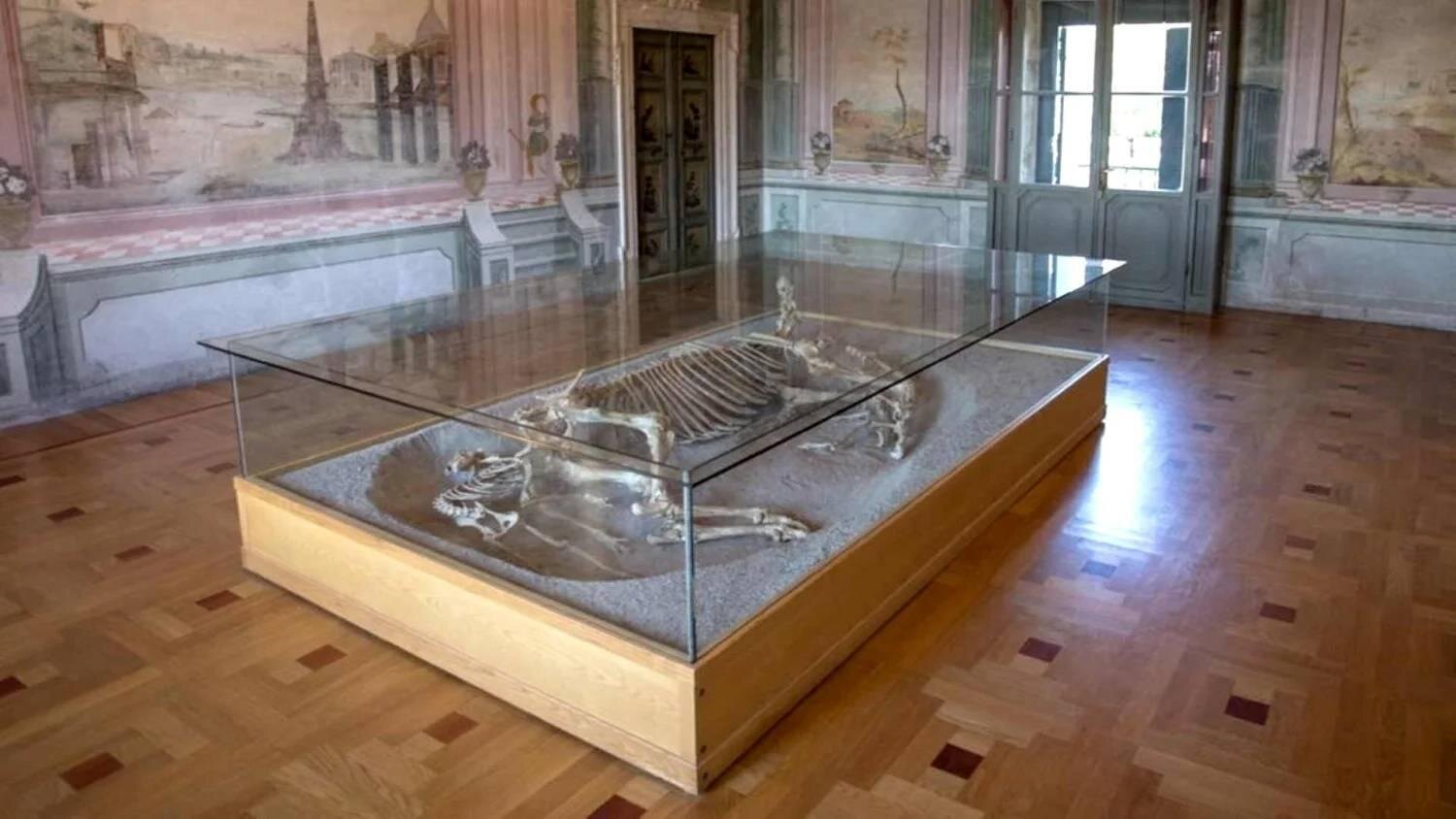 Le porte si aprono - Biblioteca Storica e Museo Archeologico