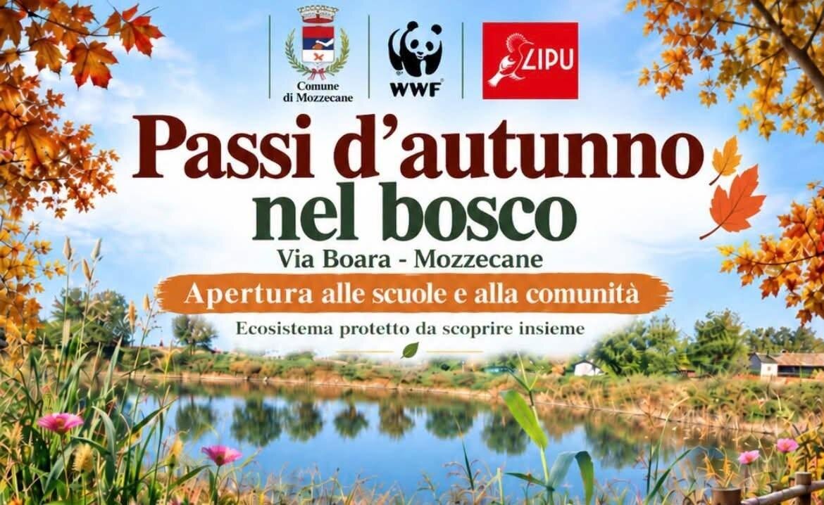 Passi d'autunno nel bosco