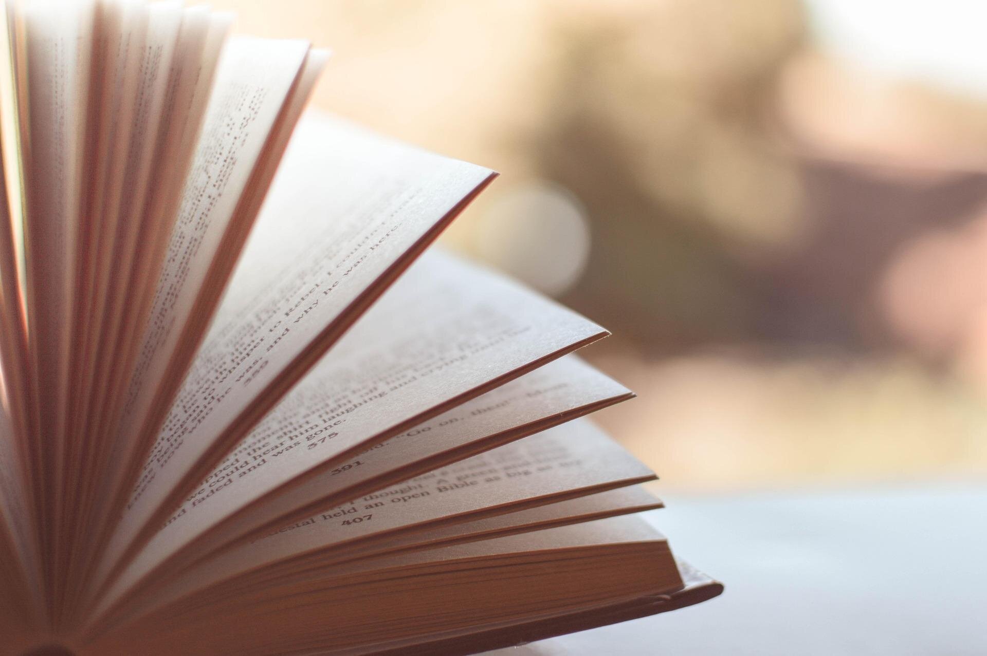 Qualcuno con cui leggere