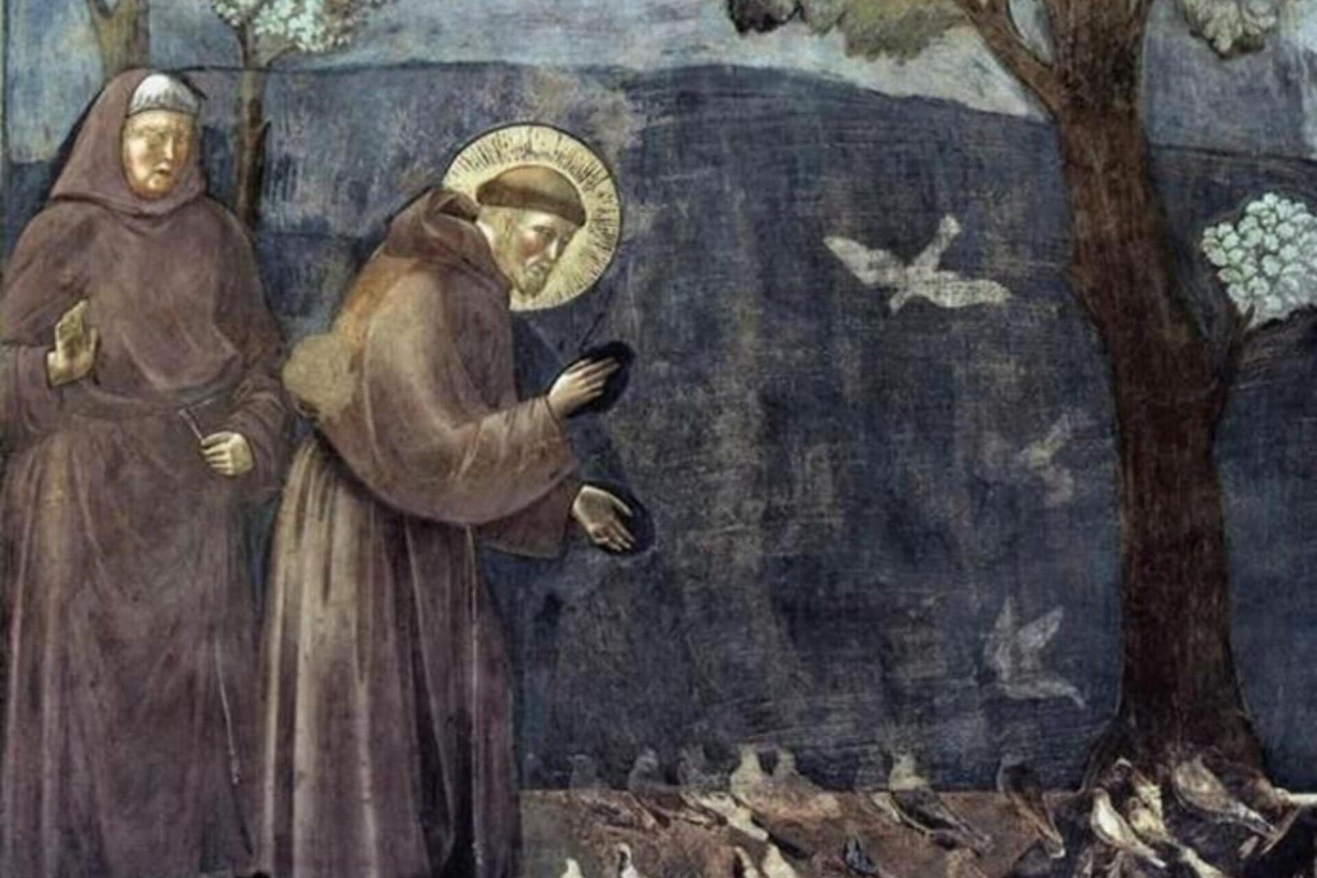 Saint Francis and the Franciscans in San Fermo Maggiore: thematic guided tours