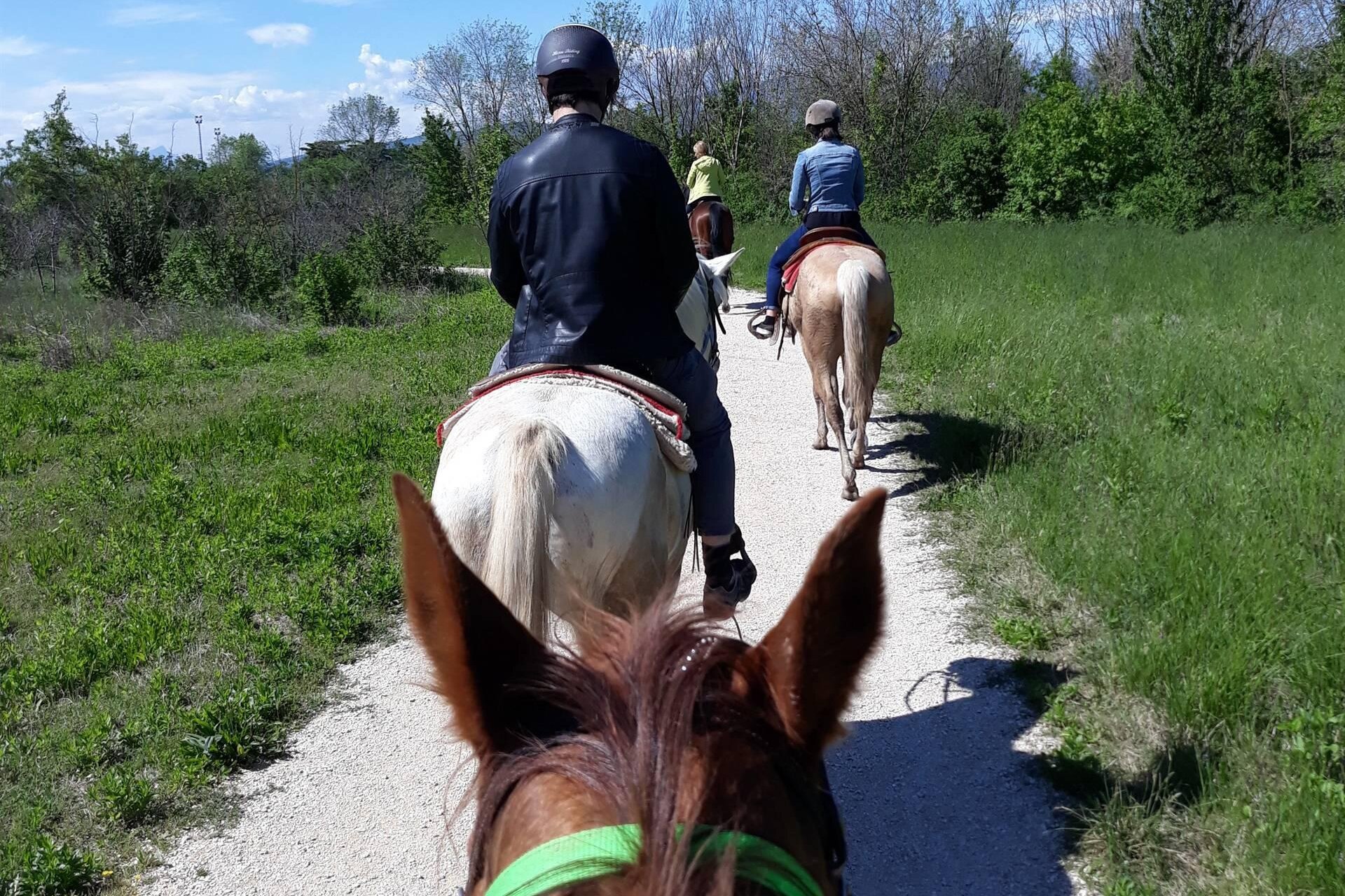 A horseback ride among the hills and vineyards of Val dei Ronchi, Verona
