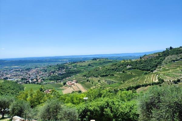 Images Trn 1 6a204355 1b8f 4564 9462 D6a087138444 99 Image