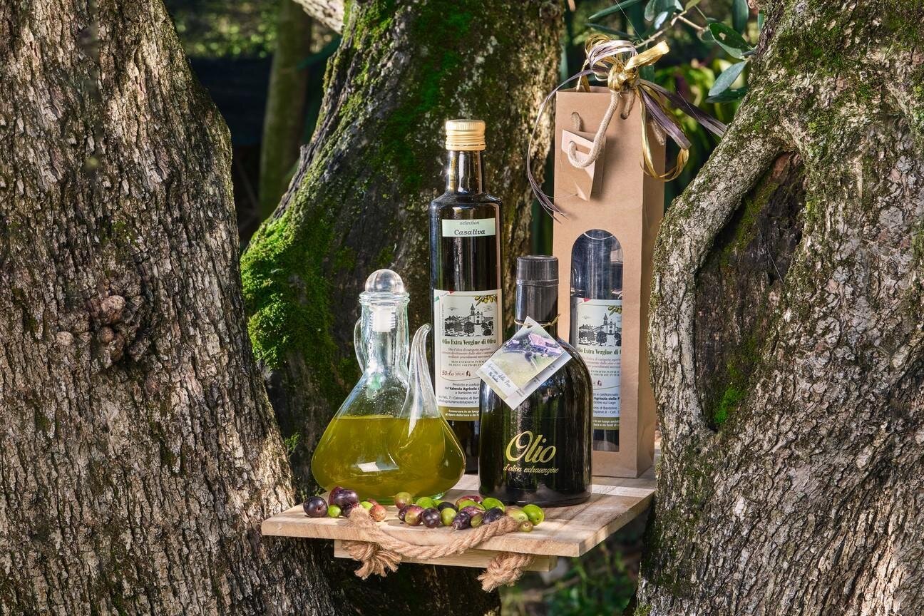 Agriturismo Pieve| Guided Tour with Extra Virgin Olive Oil Tasting