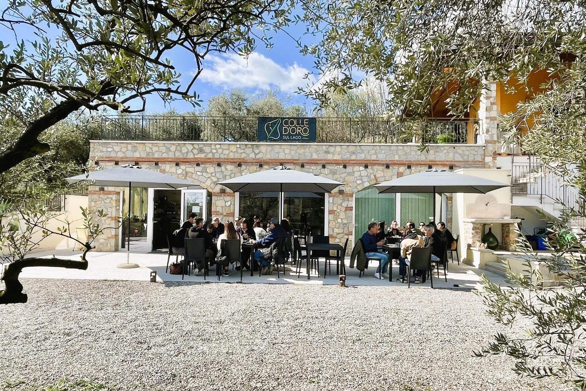 AperivOLIO – Tasting Among the Olive Trees of Lake Garda with Gourmet Cicchetti