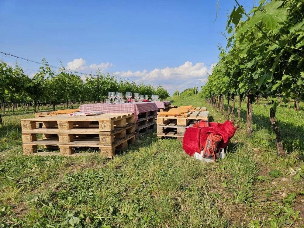 Le Muraglie Winery | Picnic among the Vineyards of Lake Garda