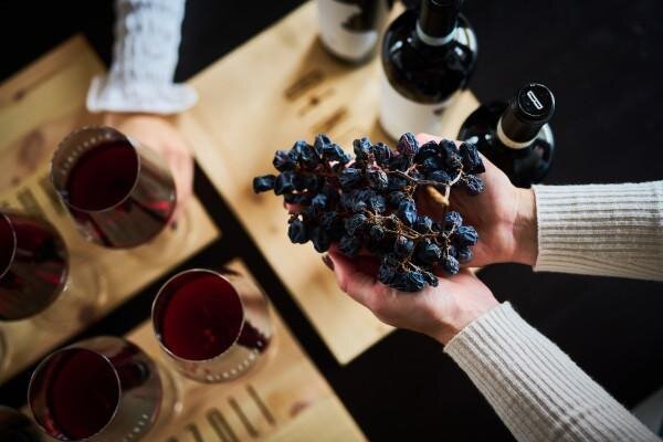 Benazzoli | Wine Experience