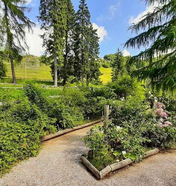 Camminata Botanica "Hortus Europae" sul Monte Baldo