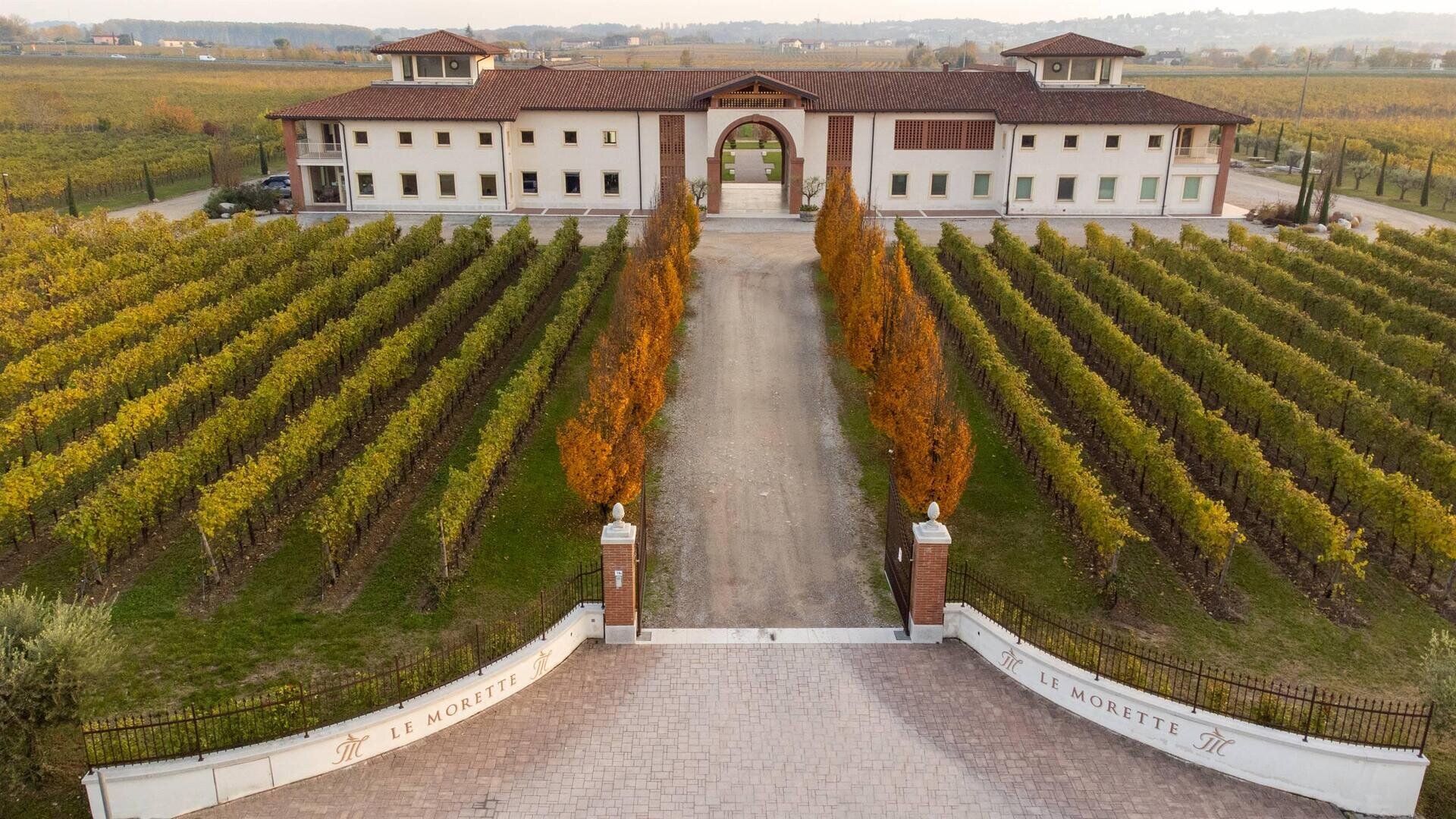 Cantina Le Morette | Lugana Special