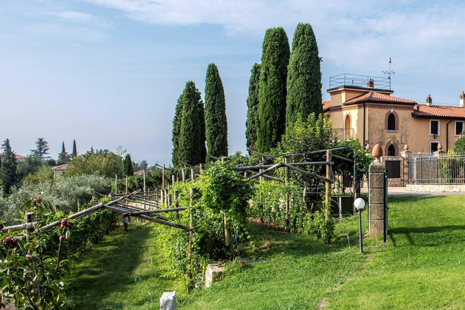 Cantina Mezzo Ettaro | Degustazione