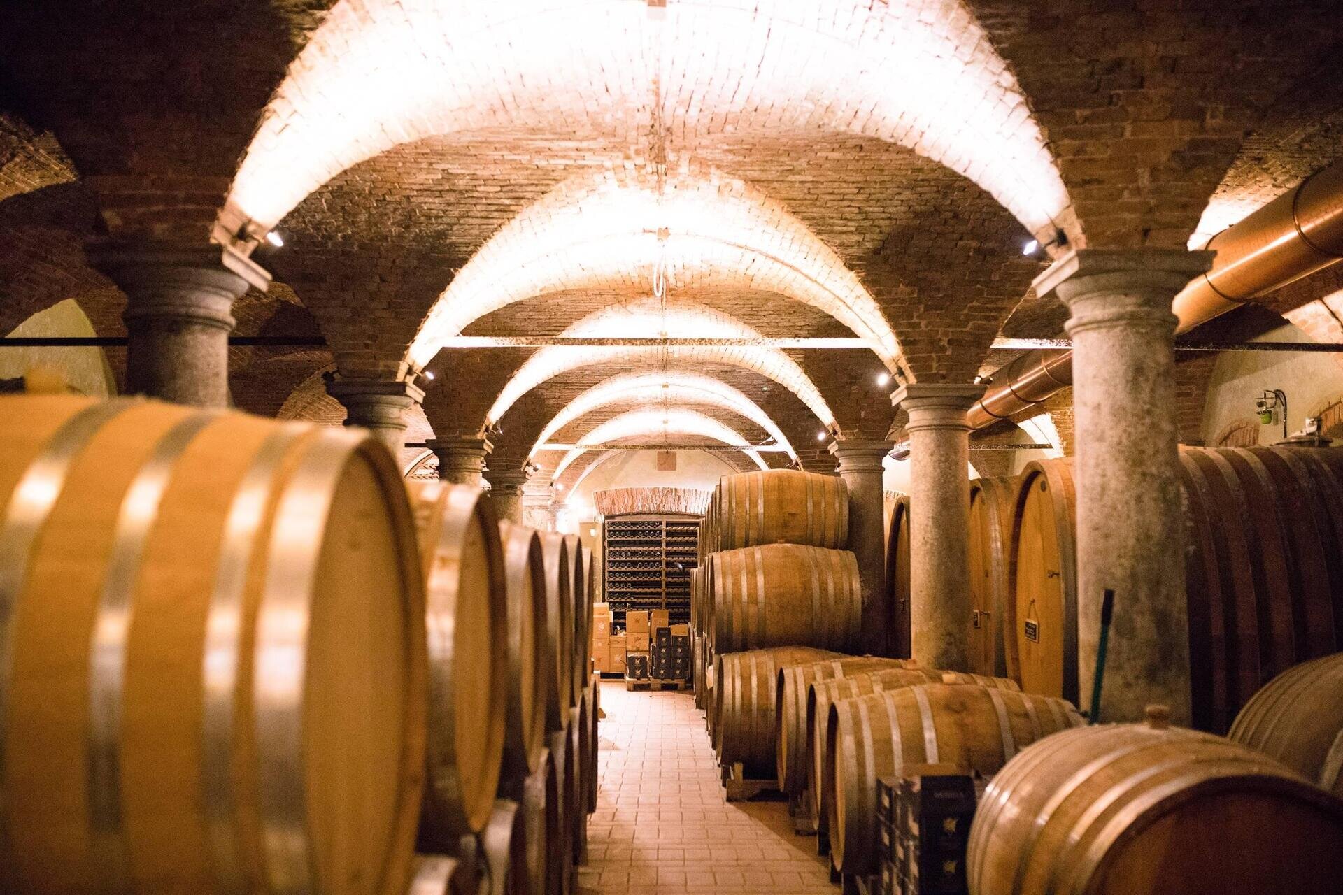 Images Trn 1 62003088 0b22 48a8 A321 5fff2d1b0a75 99 Image