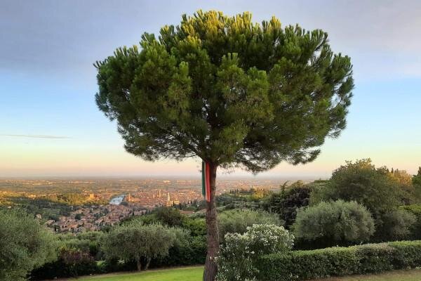 Panoramic Wine Tasting (tour in English)