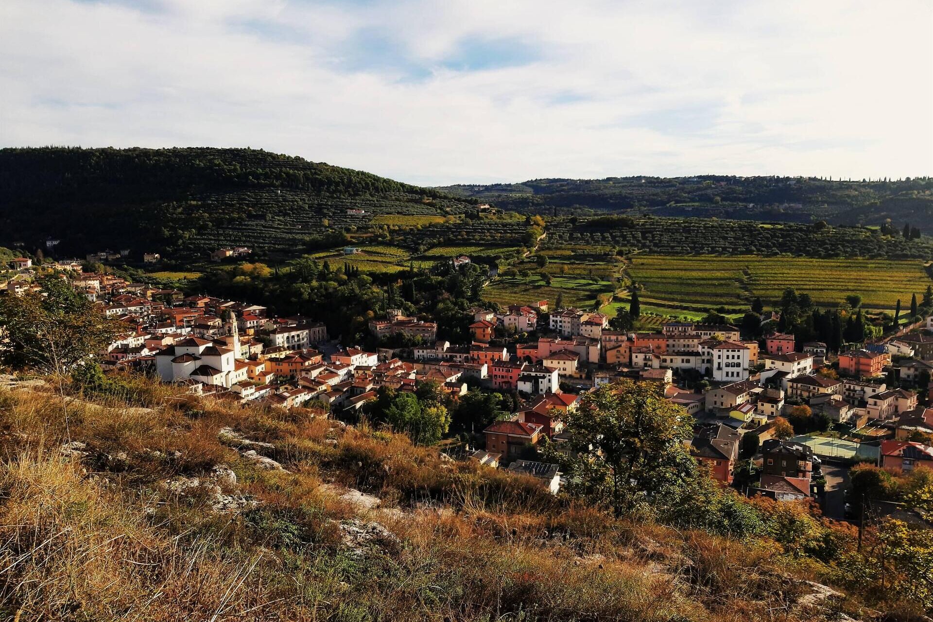 Trekking on Verona hills