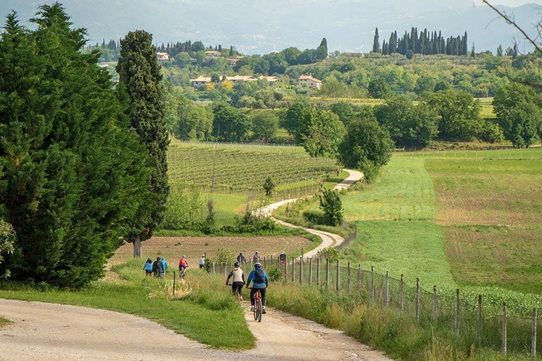 Il cammino del Bardolino tra Garda e cantine
