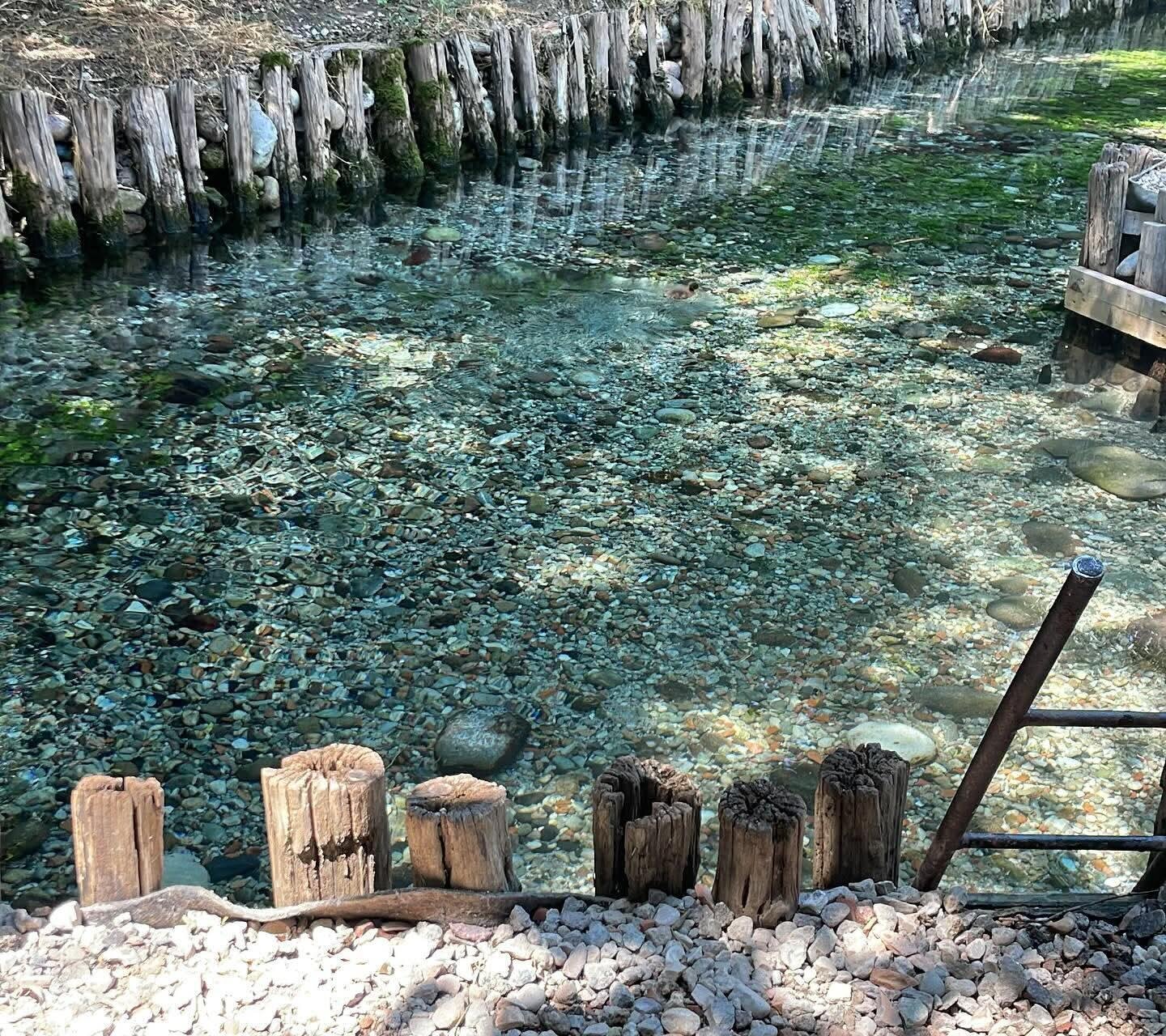 Il Percorso del Campione