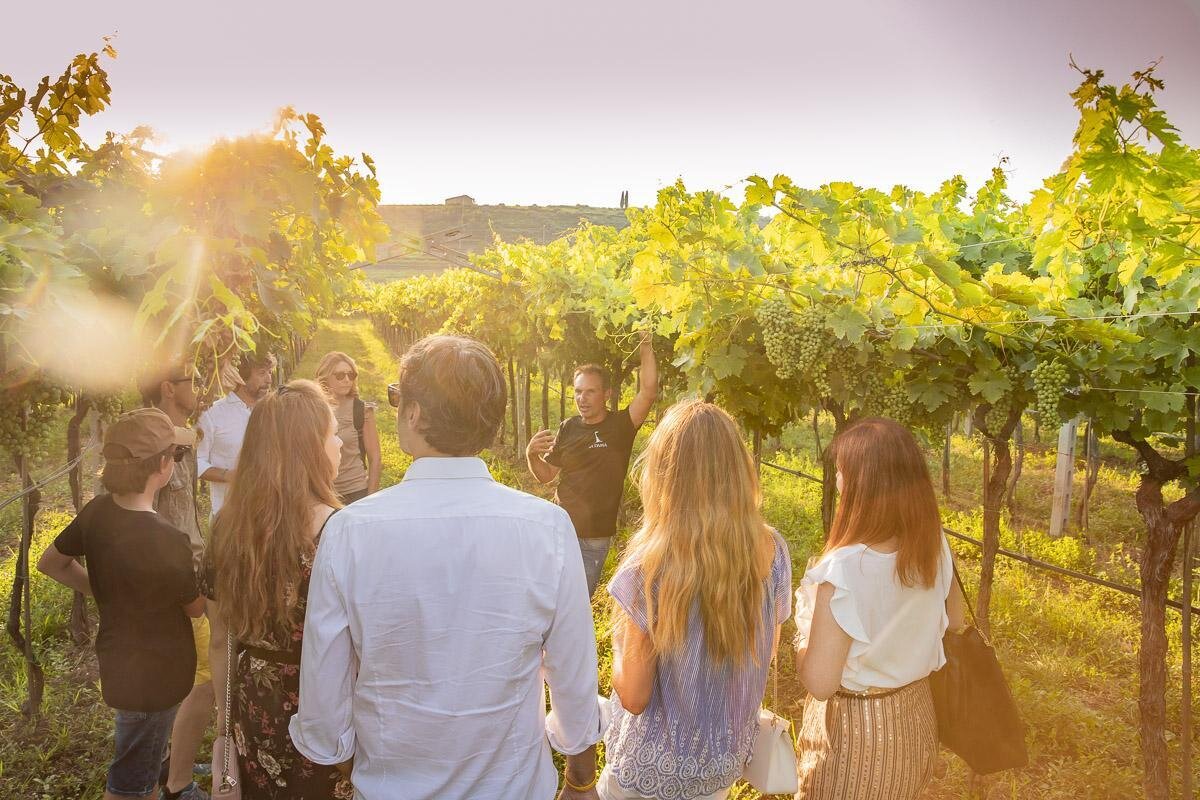 La Dama | The traditions of Valpolicella