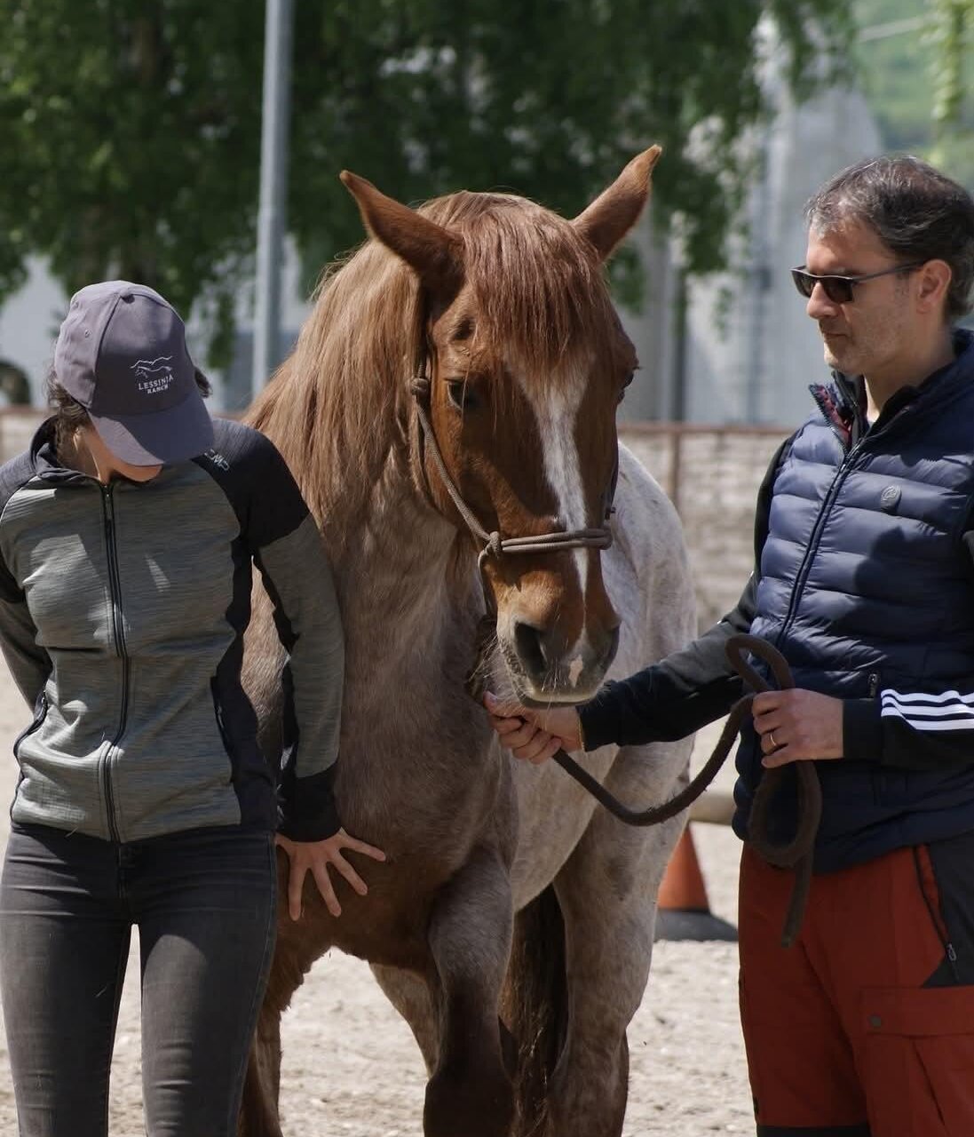 Lessinia Ranch: Team Building