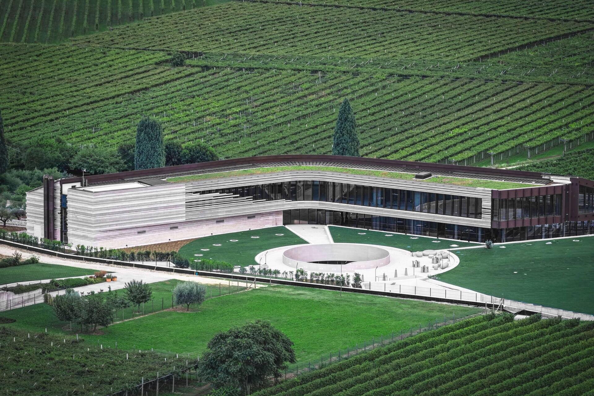 Masi Wine Experience | Gourmet Wine Experience