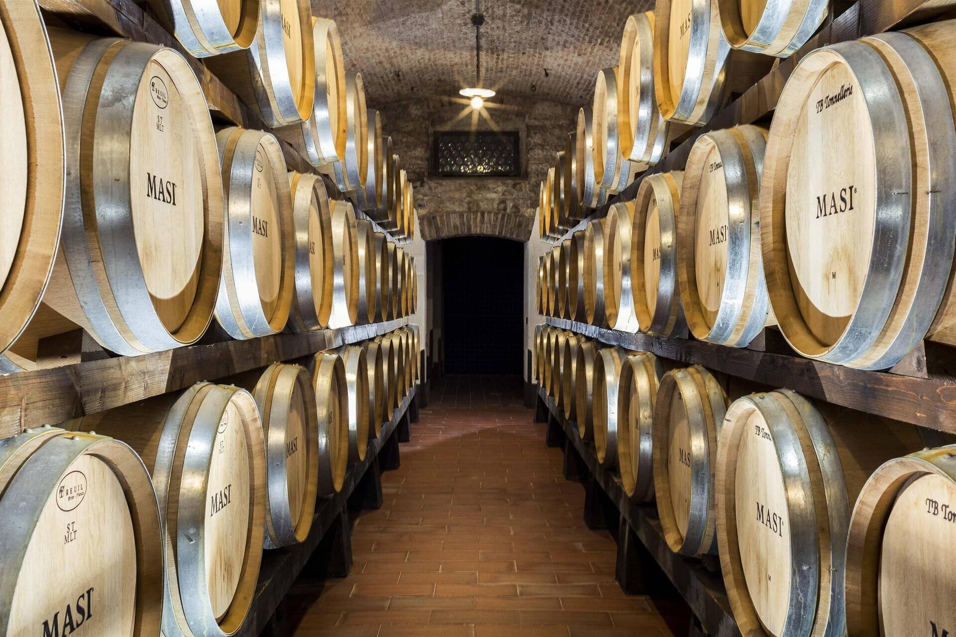 Masi Wine Experience | Valpolicella Experience