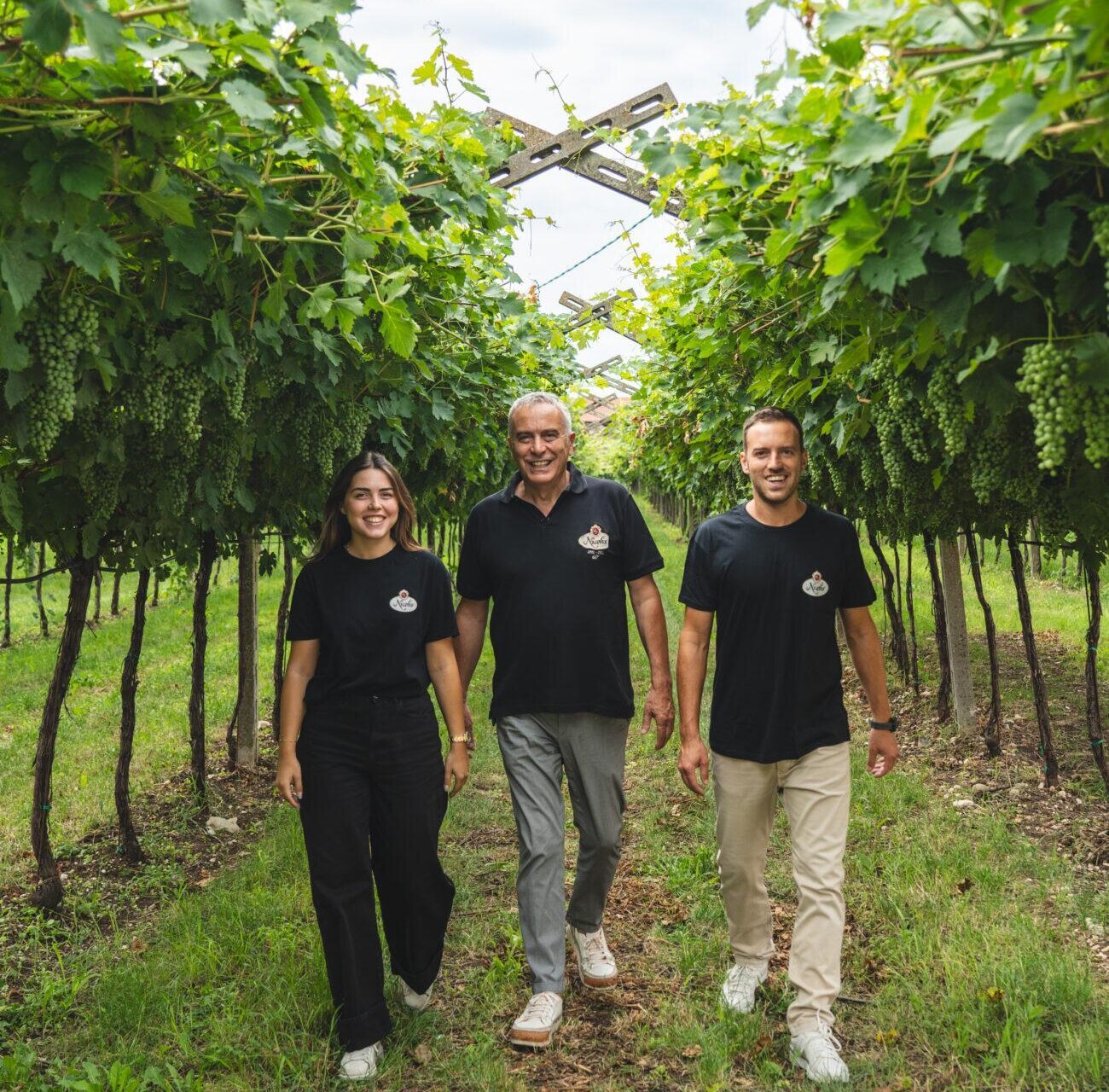 Nicolis | Wine tour Classic