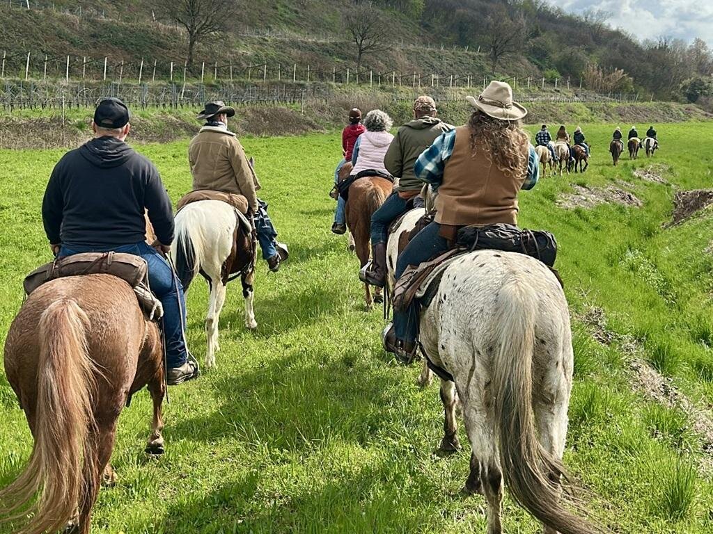 Beyond the plain: On horseback between vineyards in the Lands of Custoza