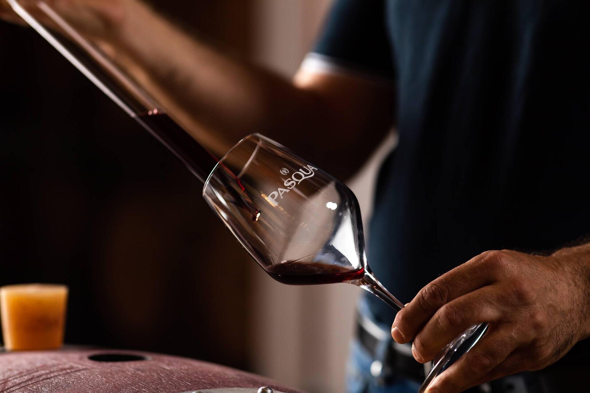 Pasqua Vigneti | Blend Your Wine Experience