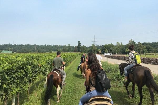Horseback riding and wine tasting in the Land of Custoza