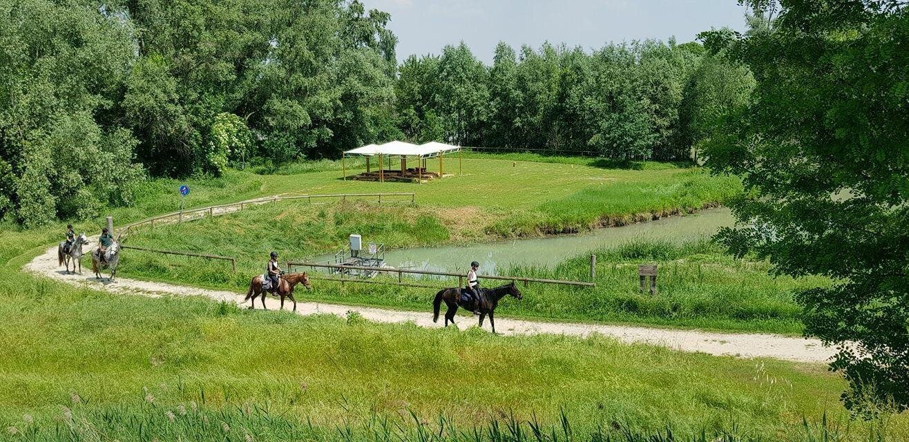 Horseback riding in English style