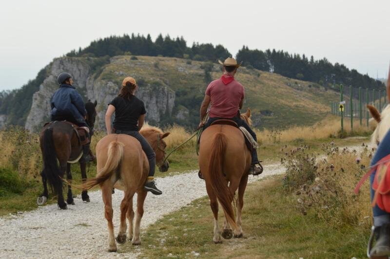 Horseback ride through the hills of Verona