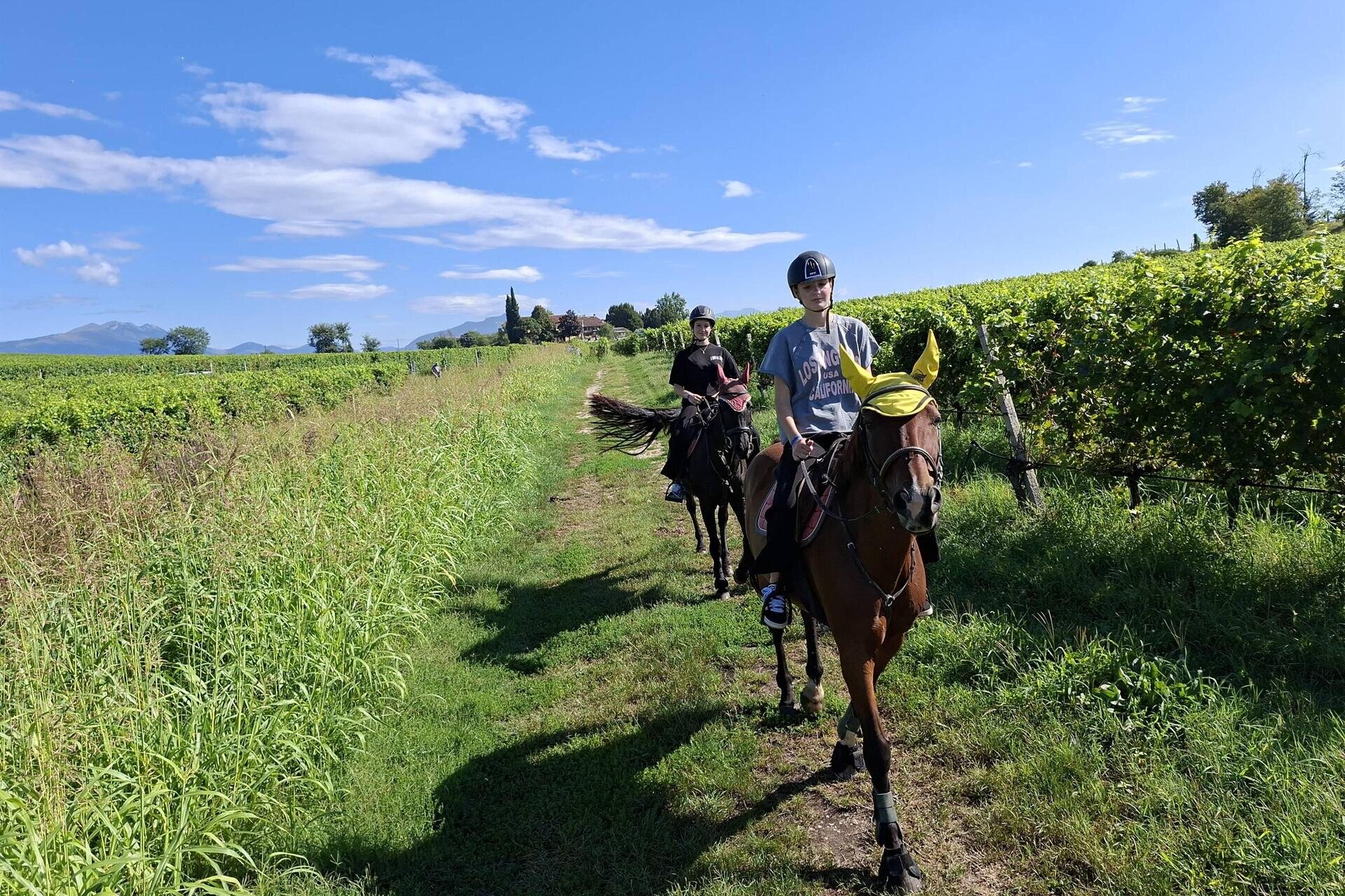 Horseback ride through the vineyards of Lake Garda