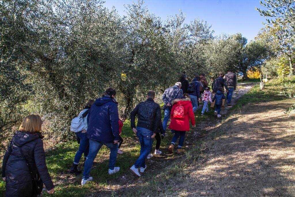 Rigenerati | Alla scoperta dell'Olio Extravergine del Garda