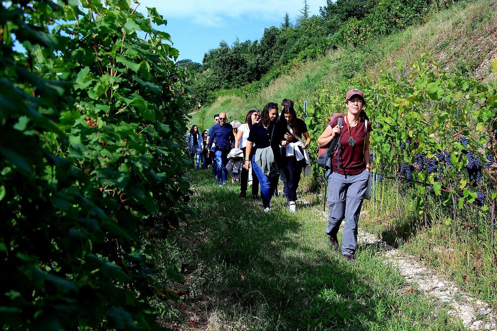 Recharge | Excursion to discover the wildlife of the Morenic Hills