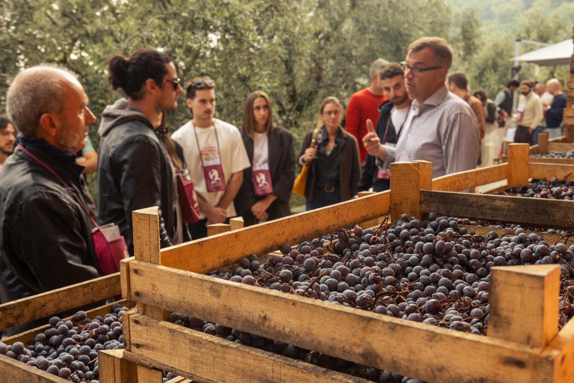ROOTS | Journey into the history of rural houses in Valpolicella