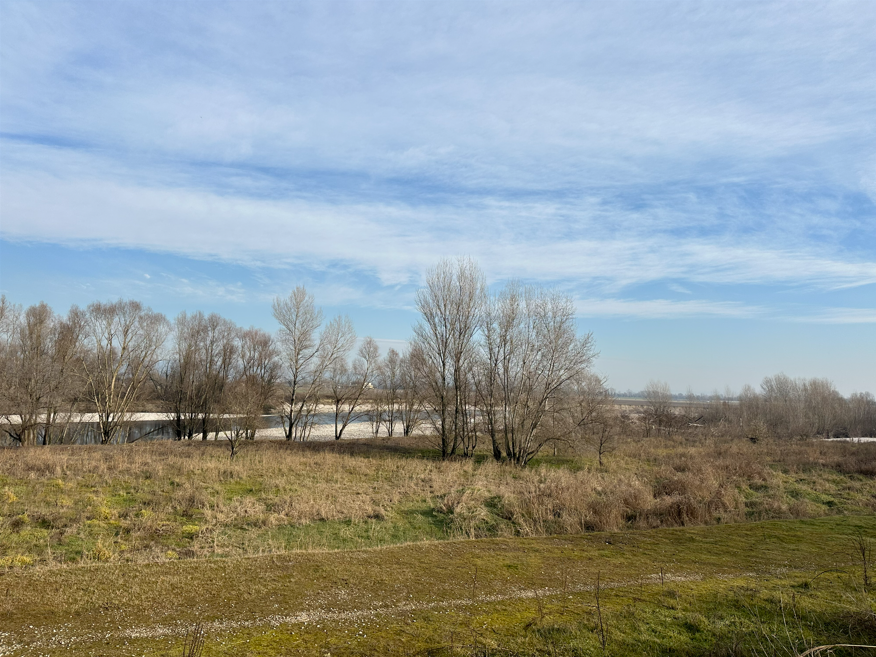 Images Trn 1 29b8be82 832b 4126 822d E38b1464bc3e 99 Image