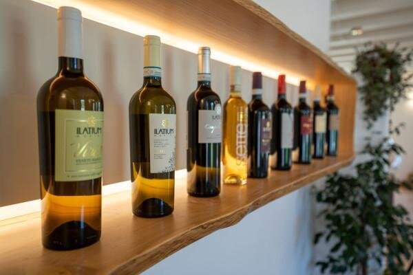 Soave e-bike&wine (Tour in autonomia)